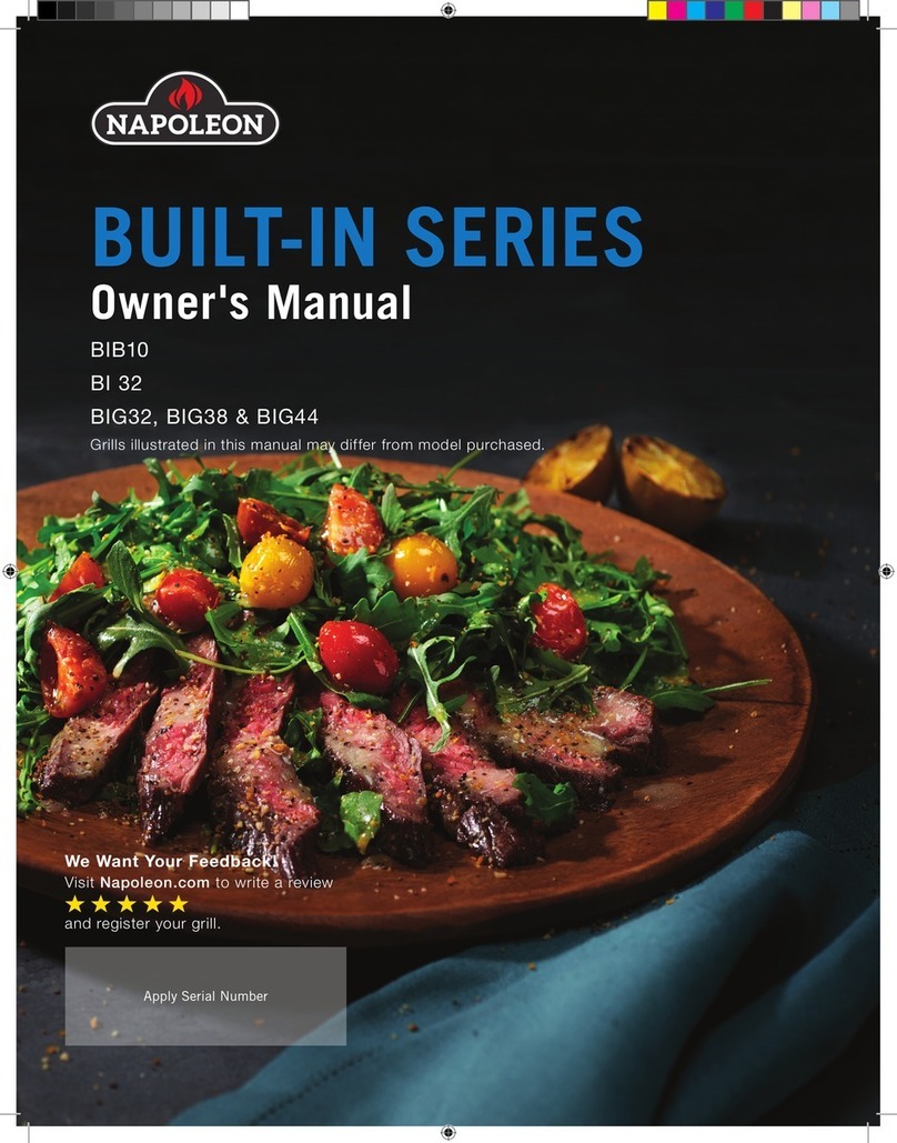 Napoleon BIB10 owner's manual
