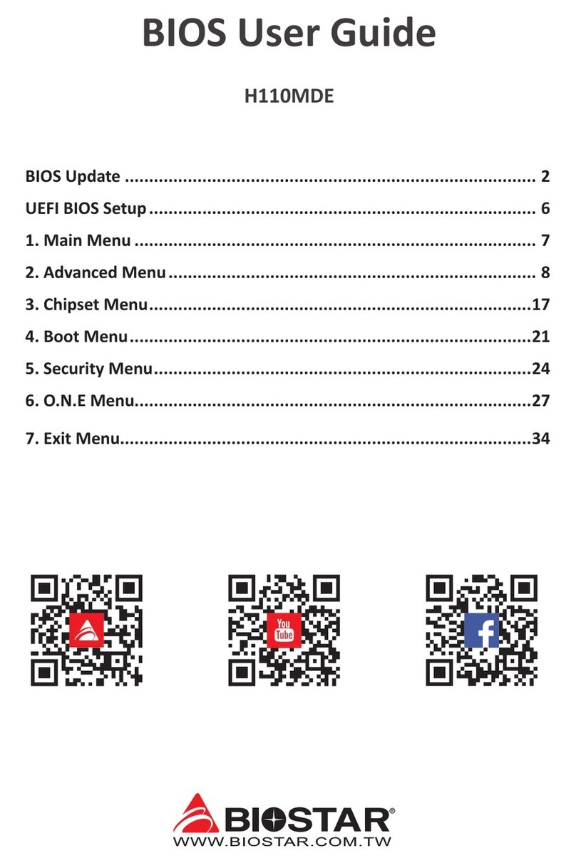 Biostar H110MDE user guide