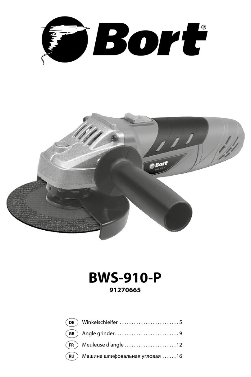 Bort BWS-910-P User manual