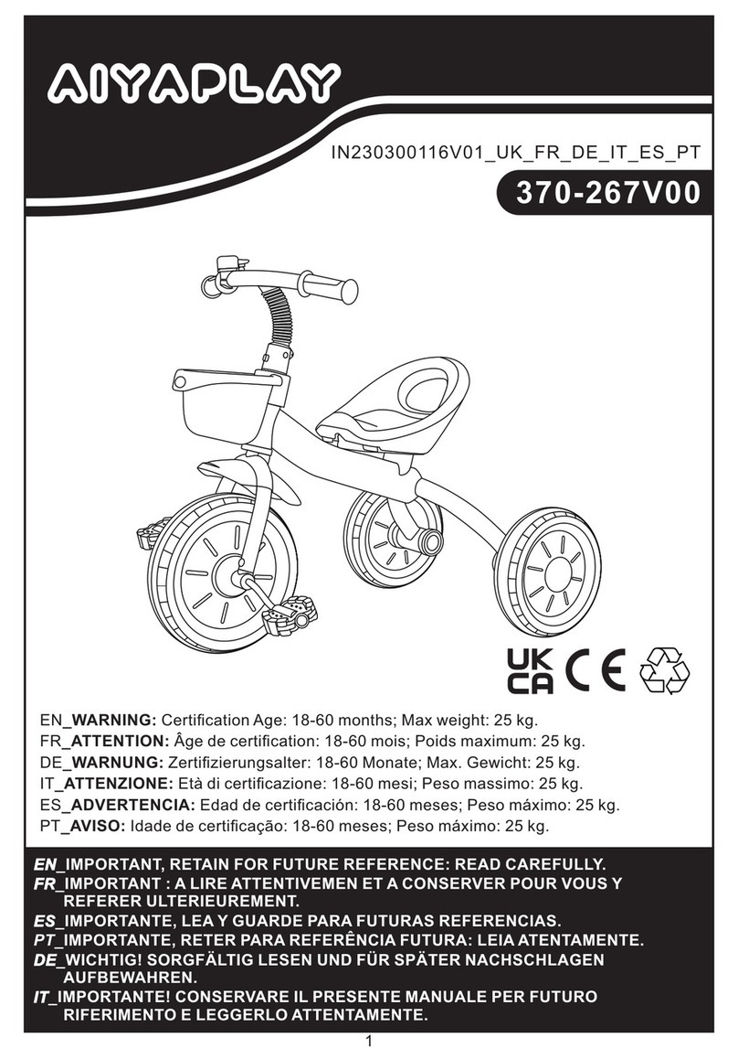 Aiyaplay 370-267V00 manual
