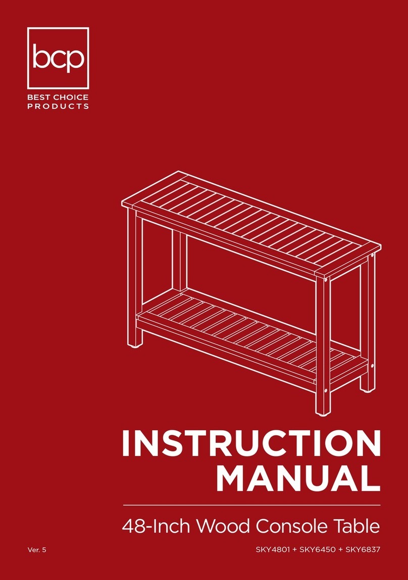 BCP SKY4801 User manual