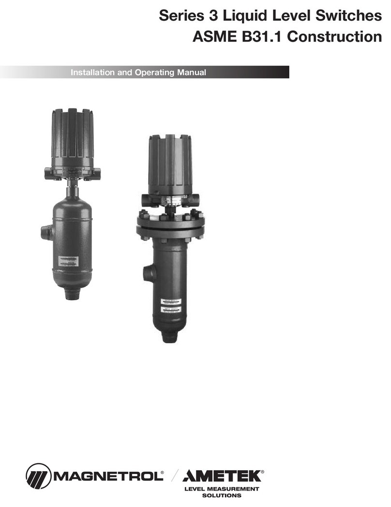 Ametek Magnetrol3 Series Installation and operating manual