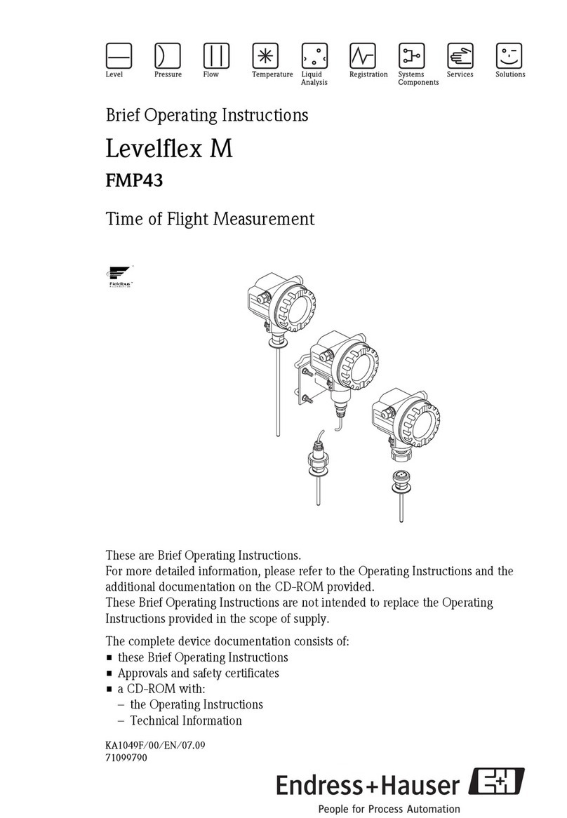 Endress+Hauser Levelflex M Brief operating instructions
