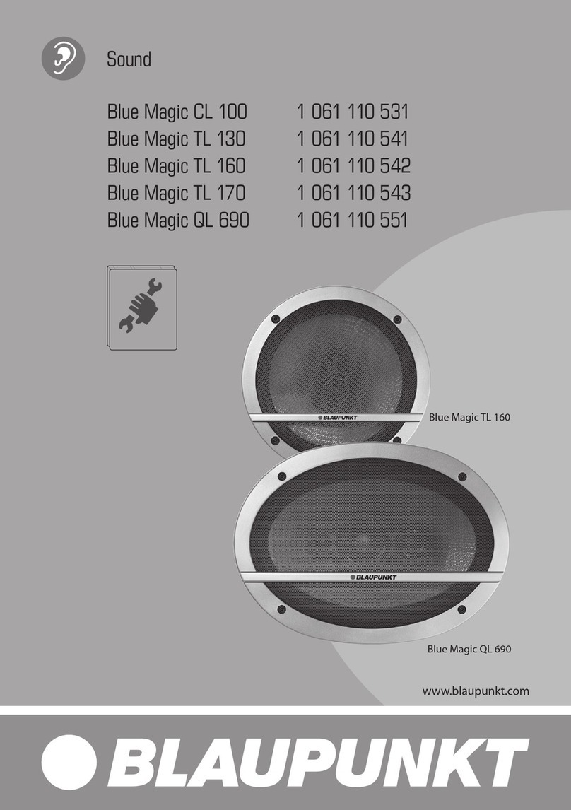 Blaupunkt Blue Magic Series User manual