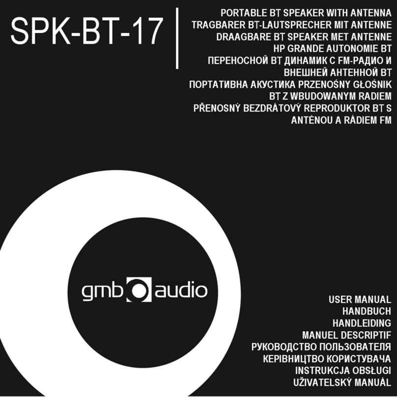 GMB Audio SPK-BT-17 user manual