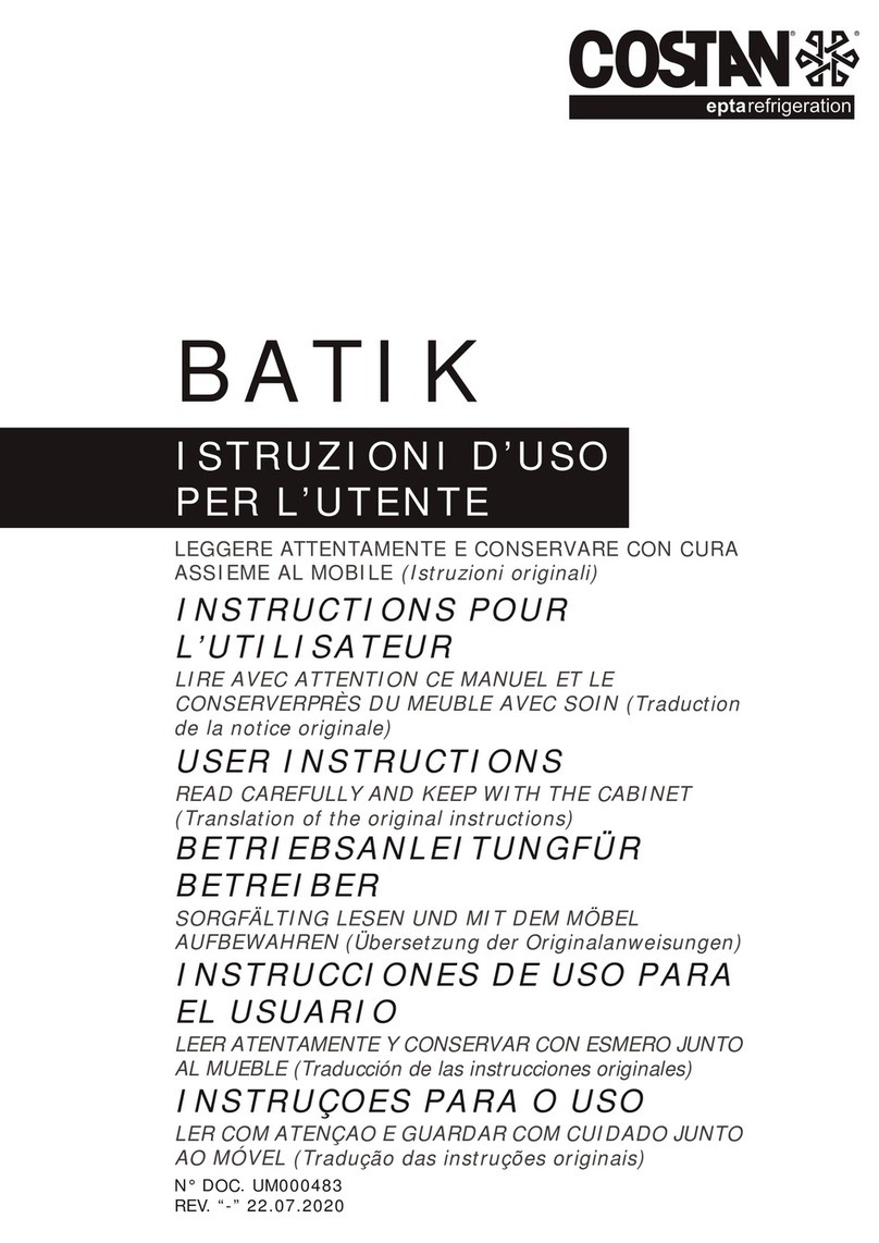 Costan BATIK User instructions