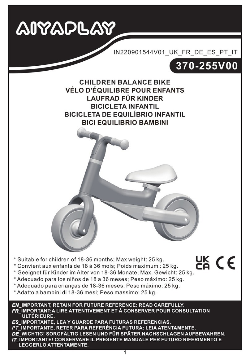 Aiyaplay 370-255V00 manual