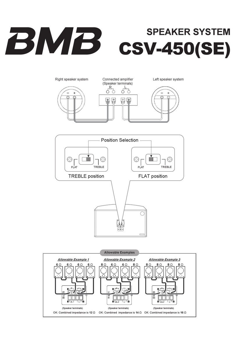 BMB CSV-450 User manual