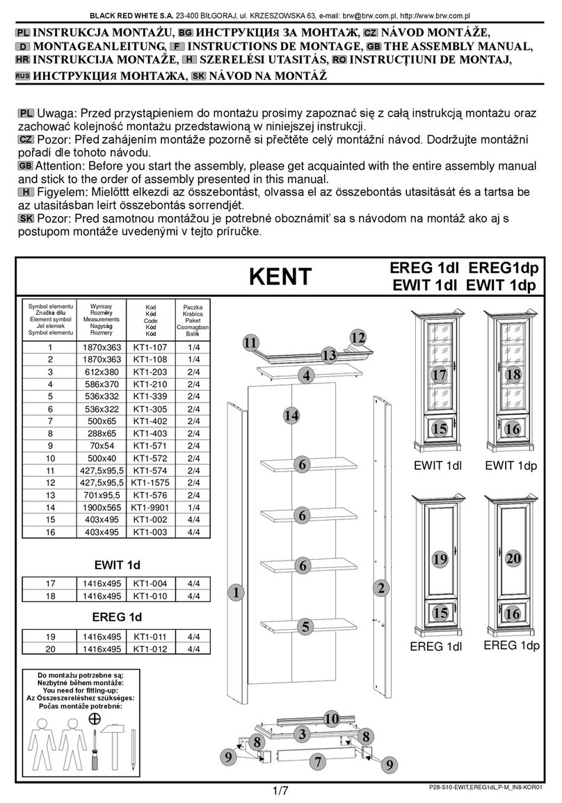 BLACK RED WHITE KENT EREG 1dl EREG1dp Assembly manual