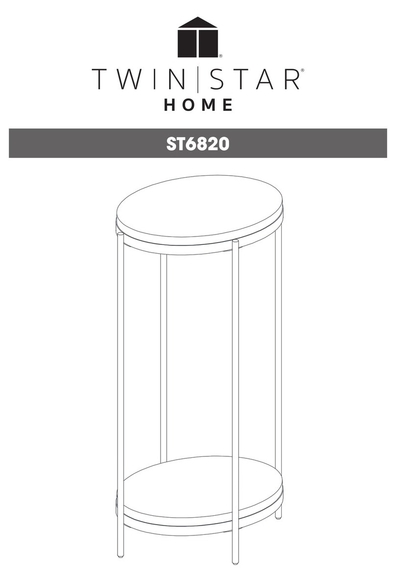 Twin Star Home ST6820 User manual