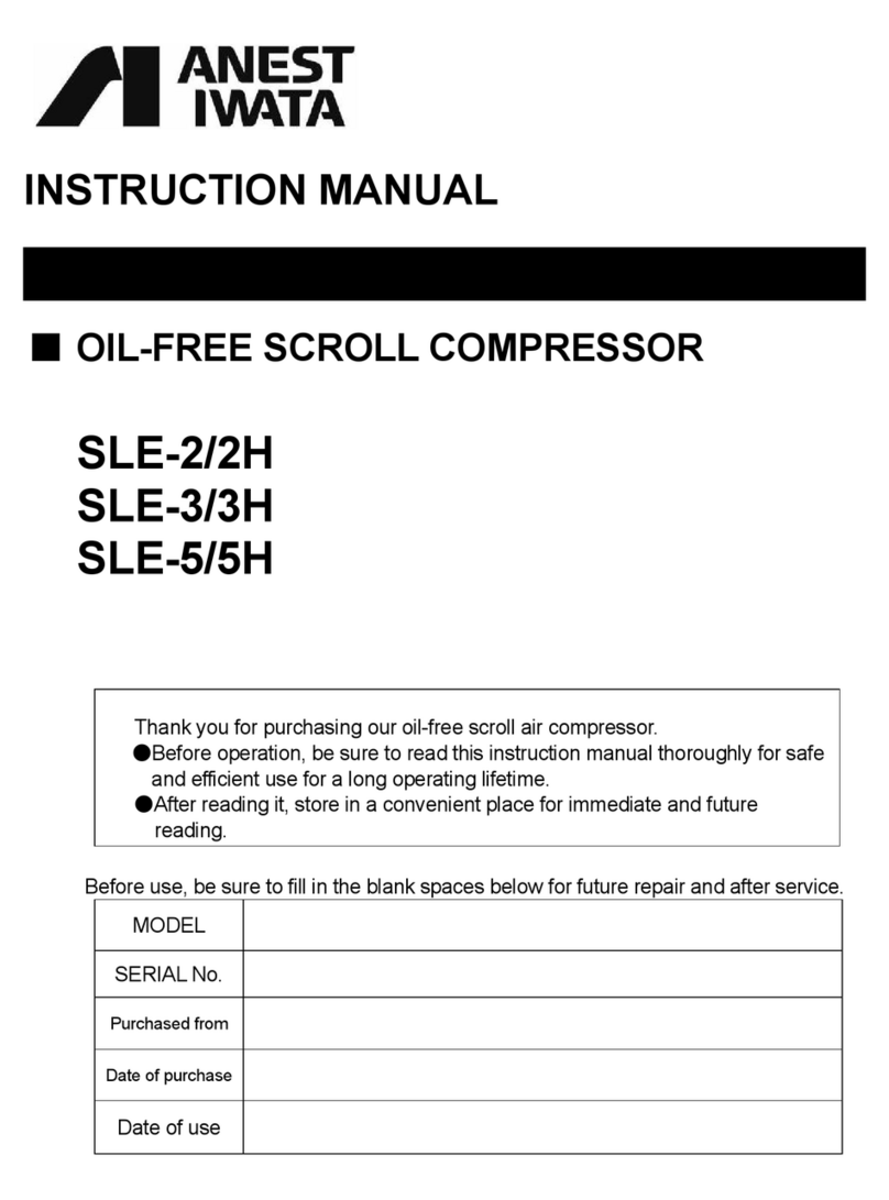 Anest Iwata SLE-2 User manual