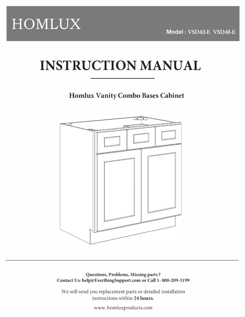 HomLux VSD42-E instruction manual