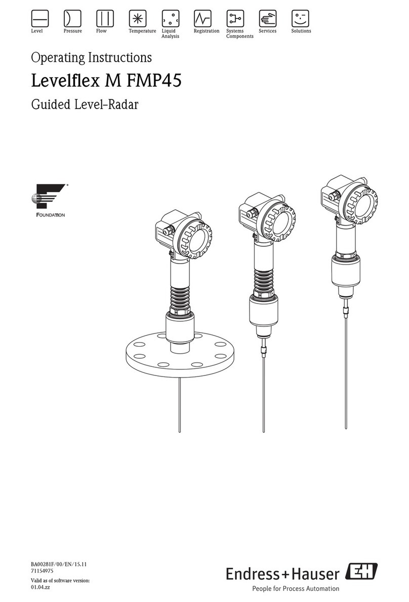 Endress+Hauser Levelflex M FMP45 operating instructions