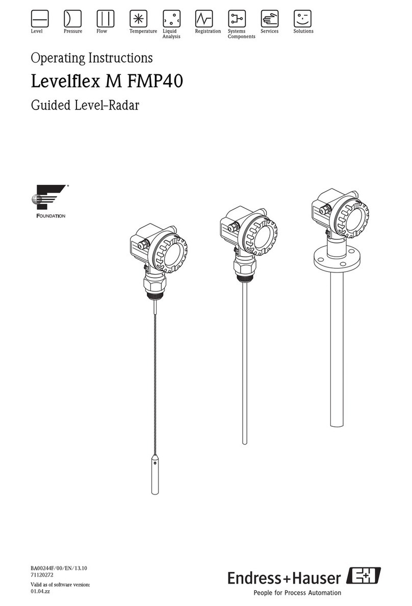 Endress+Hauser Levelflex M FMP40 User manual