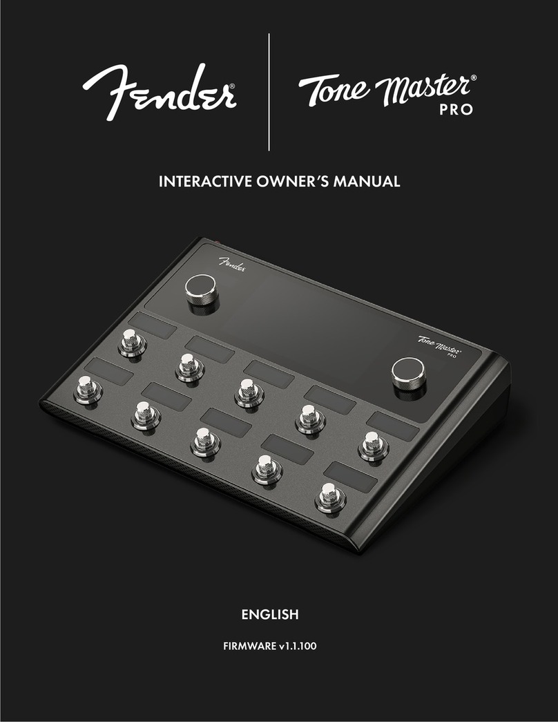 Fender Tone Master PRO User manual