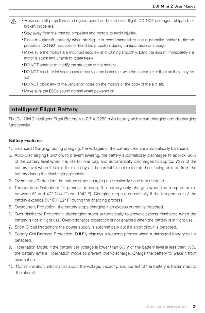 dji Mini 2 User manual