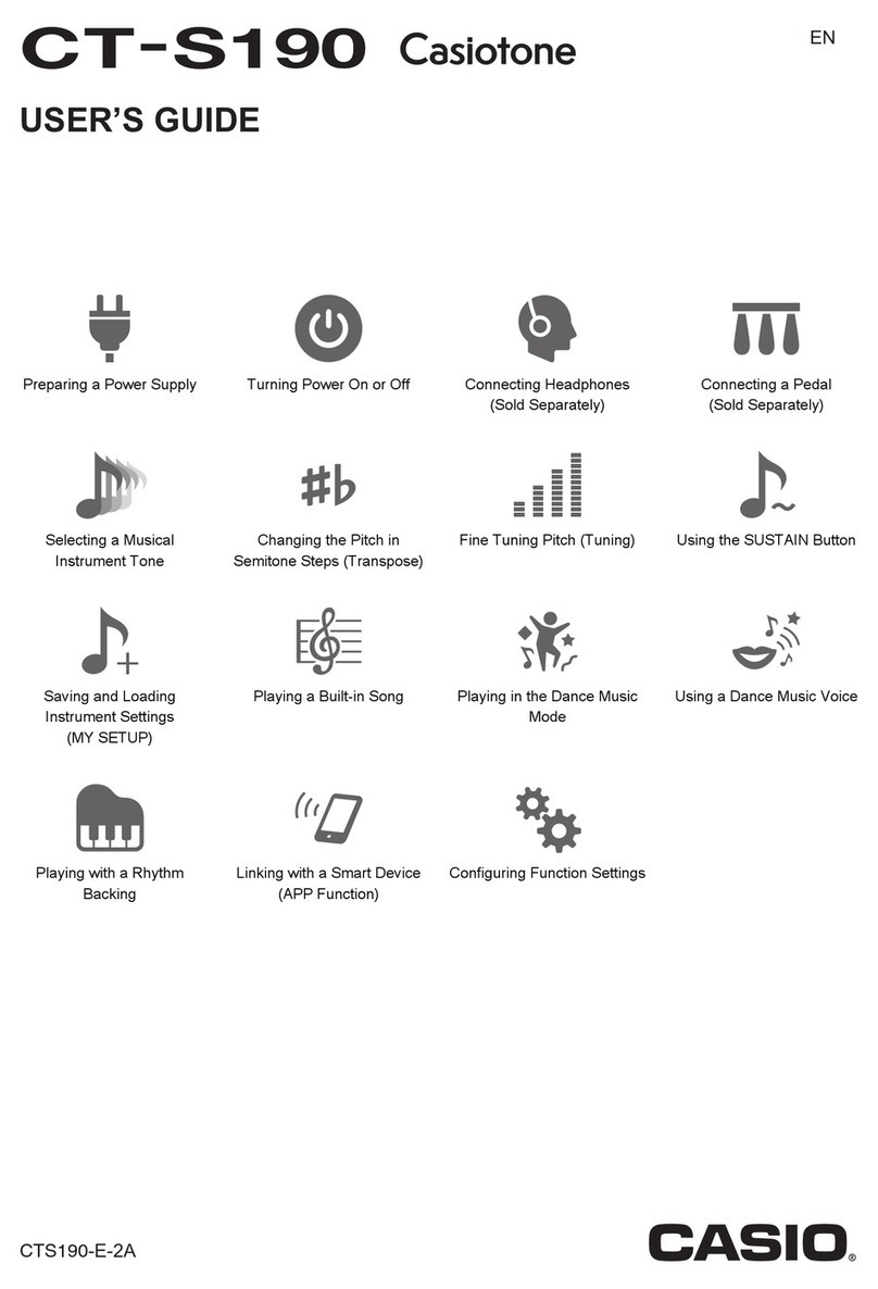 Casio Casiotone CT-S190 User manual