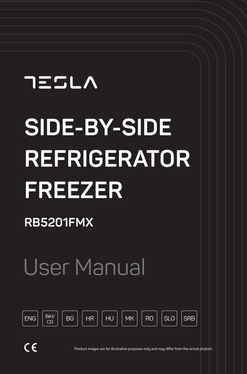 Tesla RB5201FMX user manual