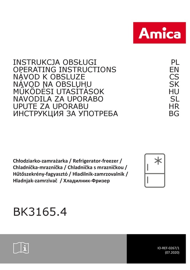Amica BK3165 4 Series User manual Amica BK3165 4 Series User manual