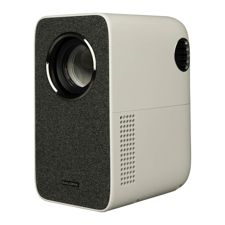 Salora BEAMER 45BHM2550 user manual