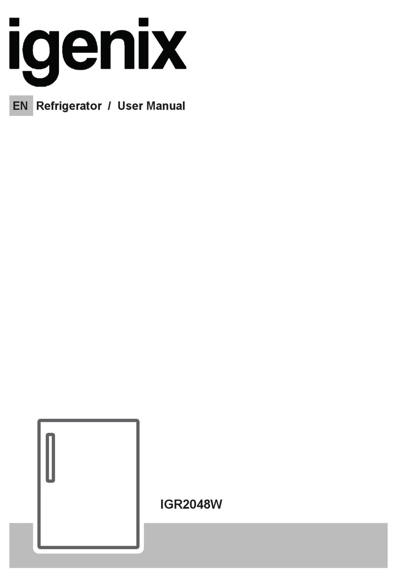 iGenix IGR2048W user manual