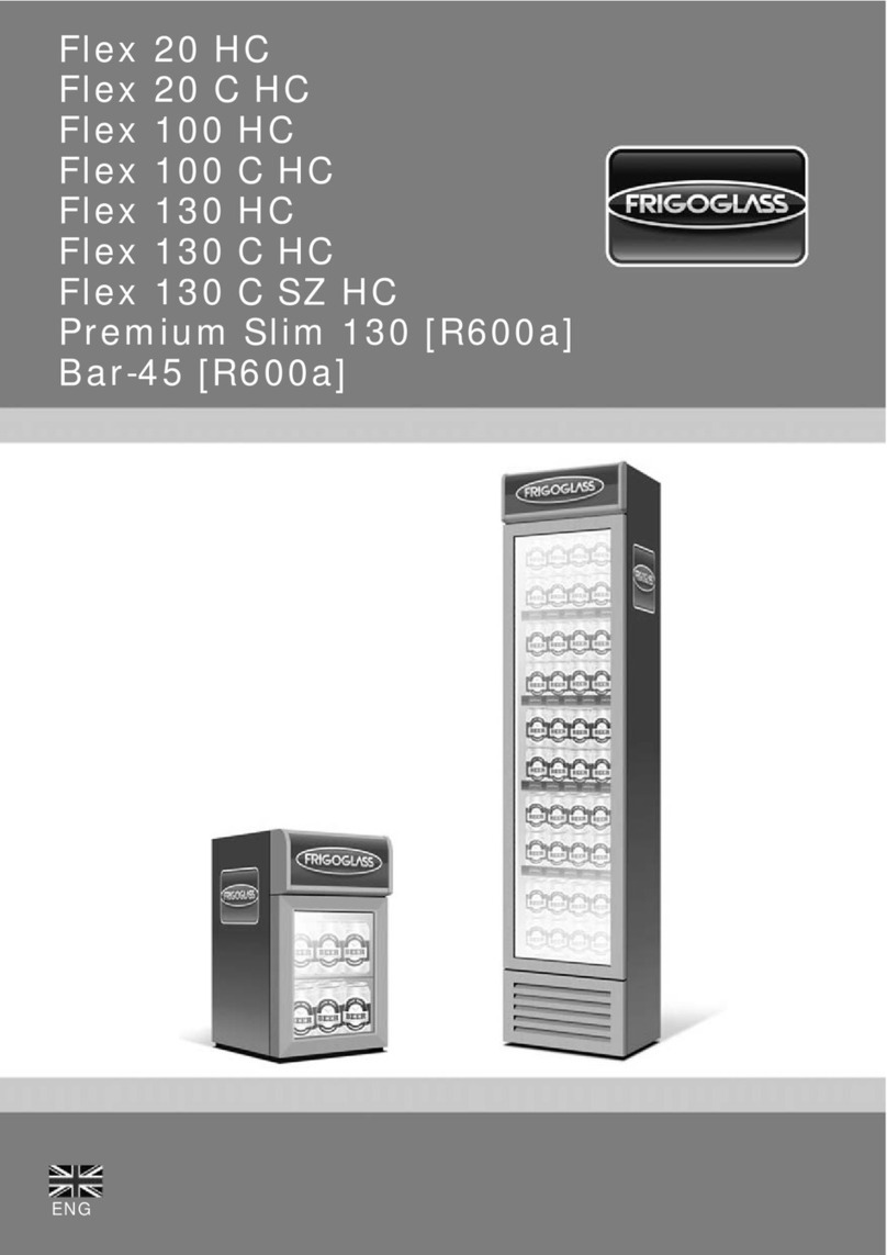 FRIGOGLASS Flex 20 HC user manual