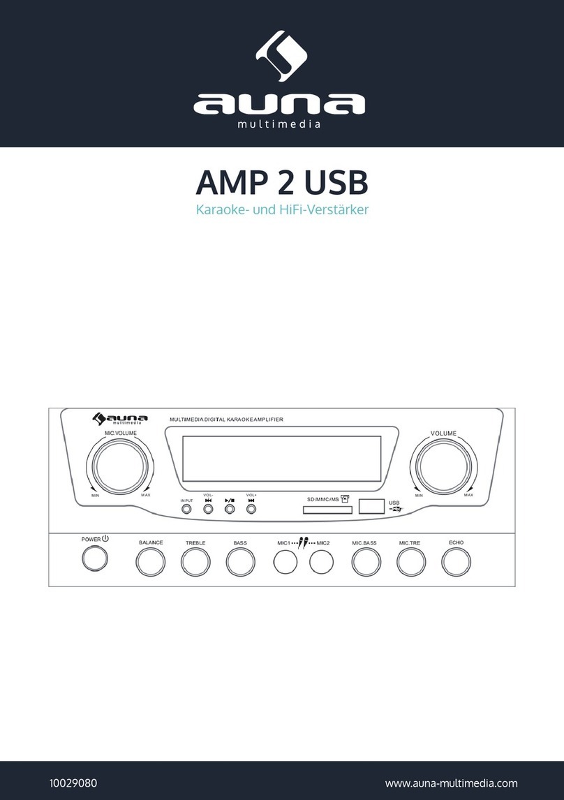 auna AMP 2 USB manual
