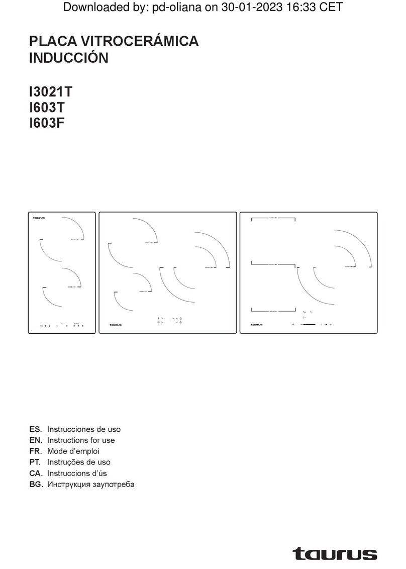 Taurus I3021T User manual