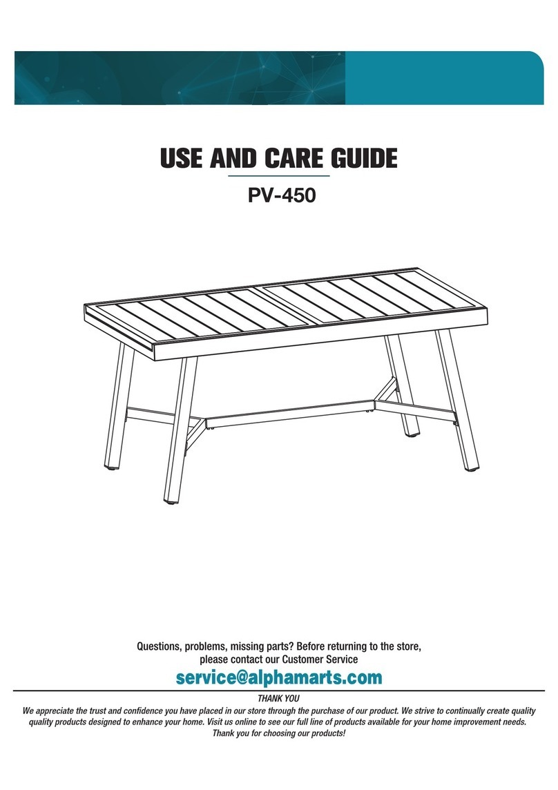 PHI VILLA PV-450 manual