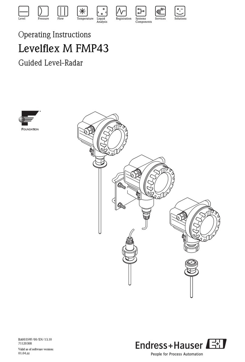 Endress+Hauser Levelflex M FMP43 operating instructions