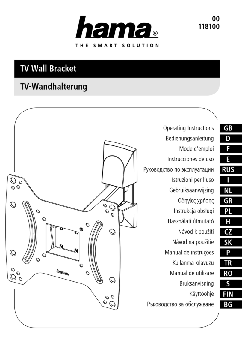 Hama 118100 User manual