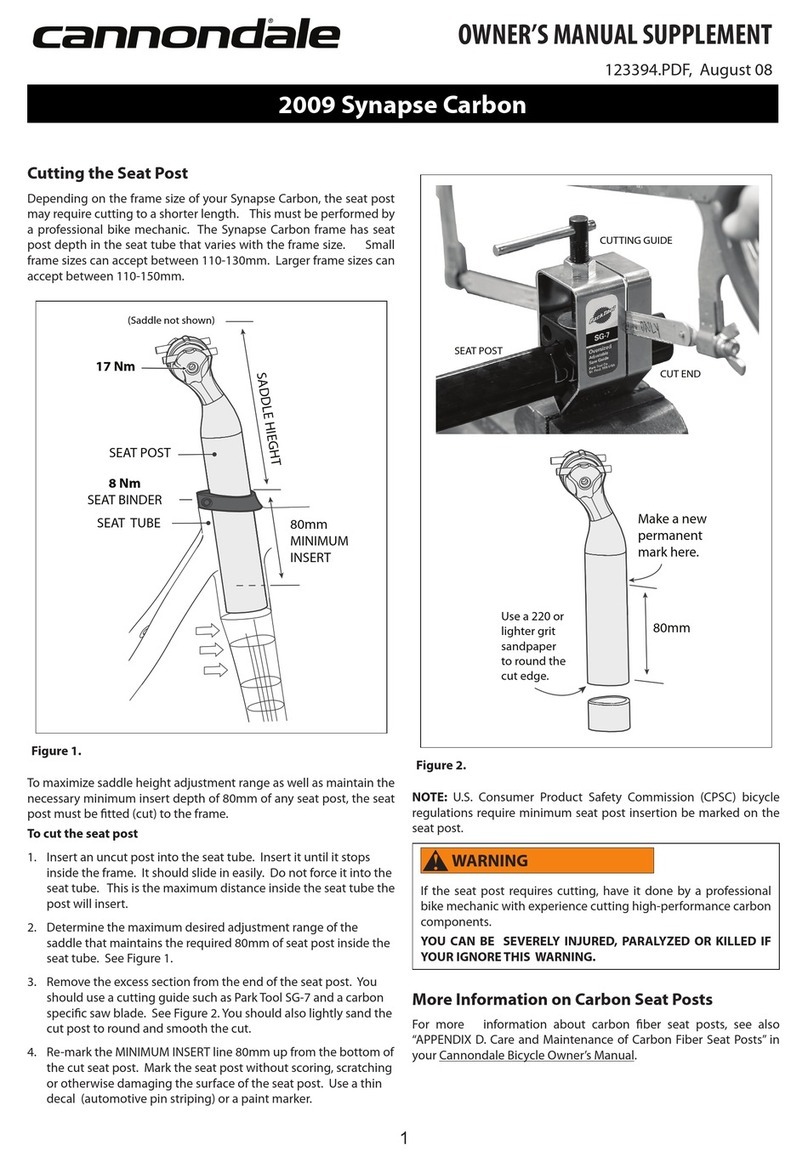 Cannondale Synapse Carbon Configuration guide