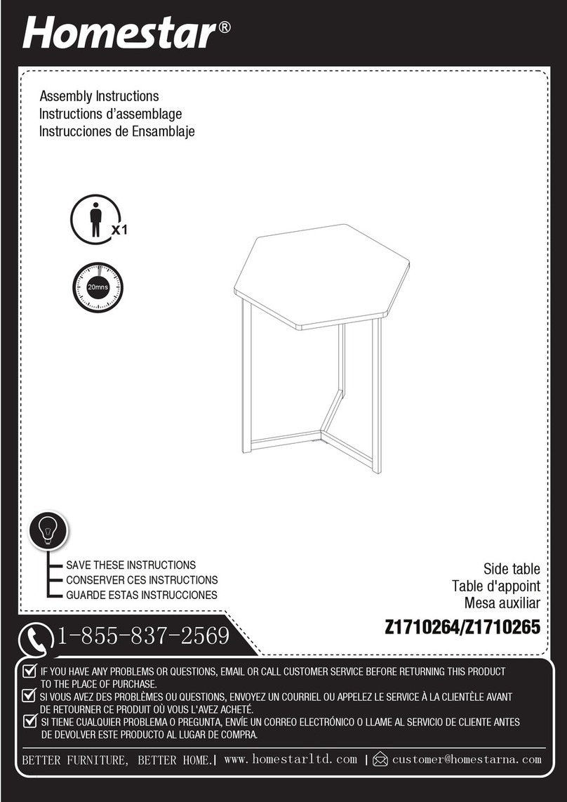 home star Z1710264 User manual
