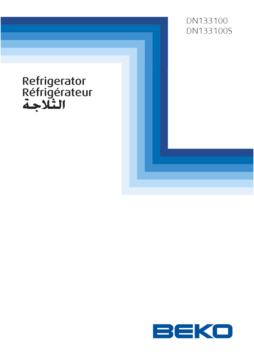 Beko DN133100S User manual