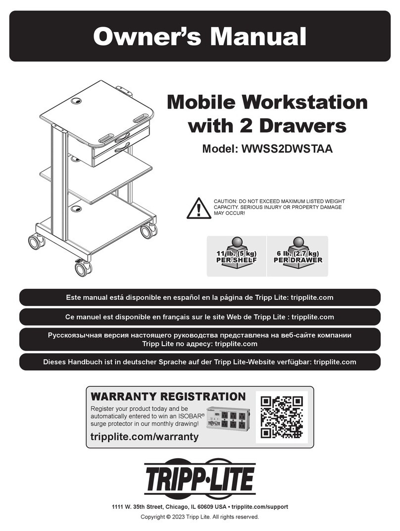 Tripp Lite WWSS2DWSTAA owner's manual