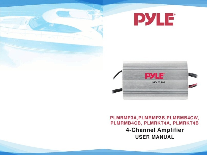 Pyle PLMRMP3A user manual