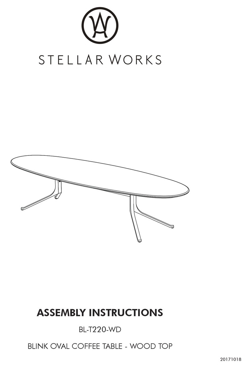 Stellar Works BL-T220-WD User manual