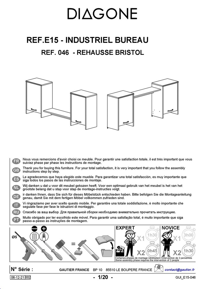 Diagone 046 manual