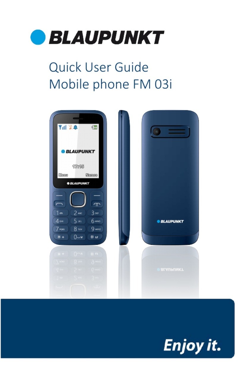 Blaupunkt FM03i User manual