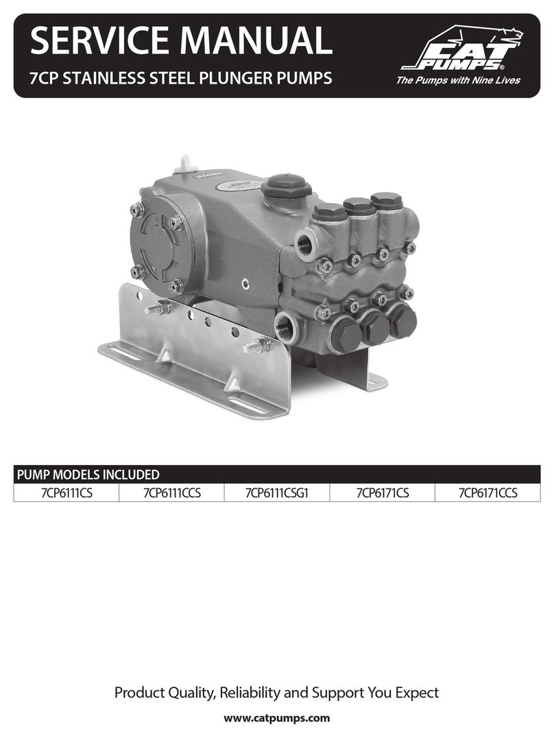 CAT Pumps 7CP6111CS Service manual