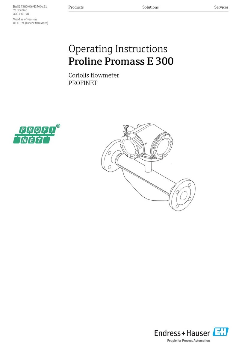 Endress+Hauser Proline Promass E 300 User manual