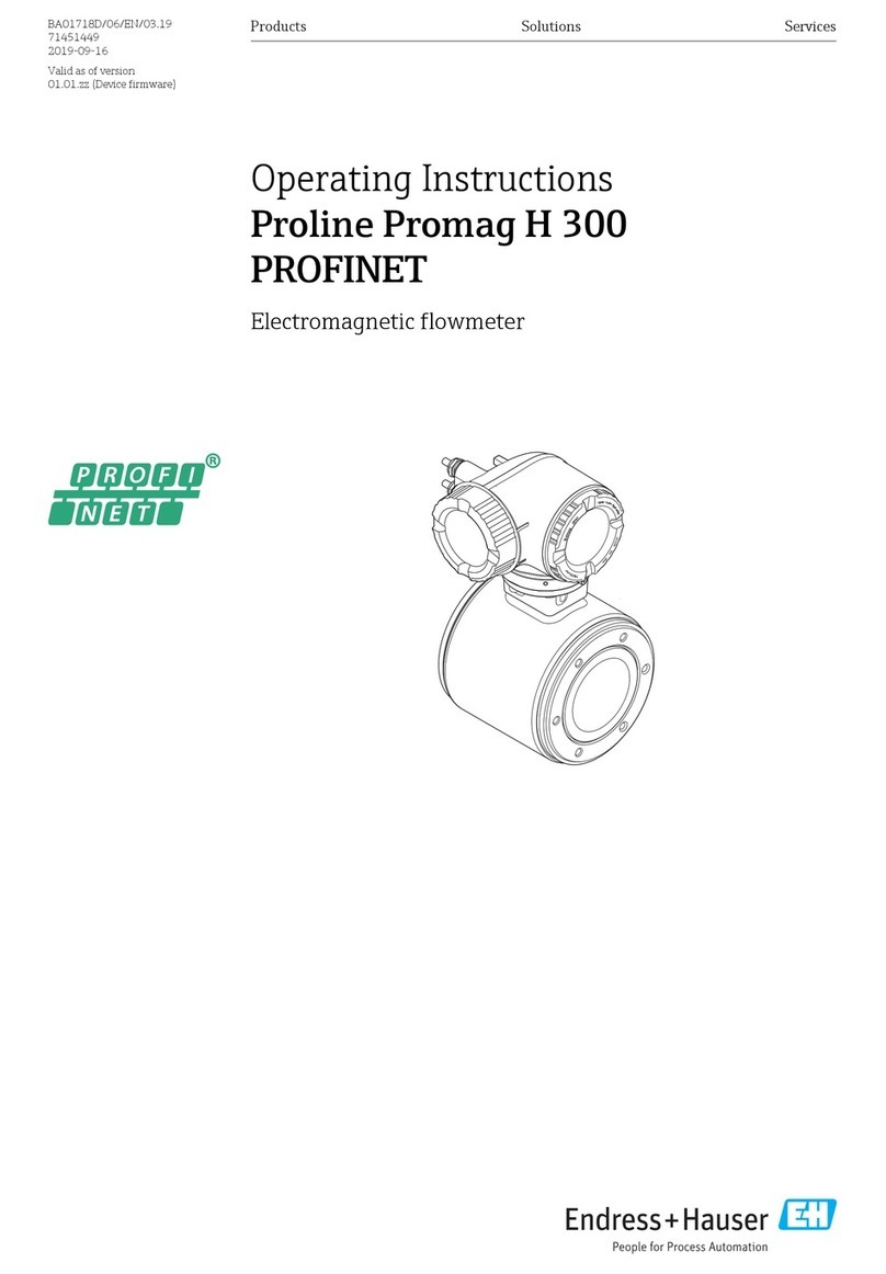 Endress+Hauser Proline Promag H 300 operating instructions