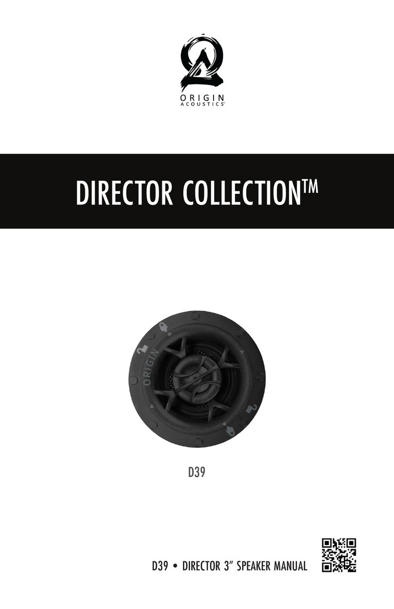 Origin Acoustics D39 User manual Origin Acoustics D39 User manual