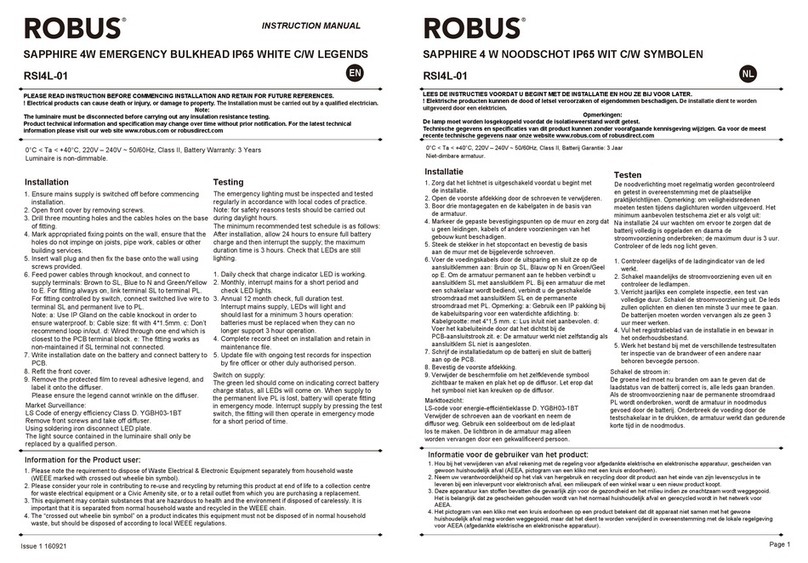 Robus RSI4L-01 User manual