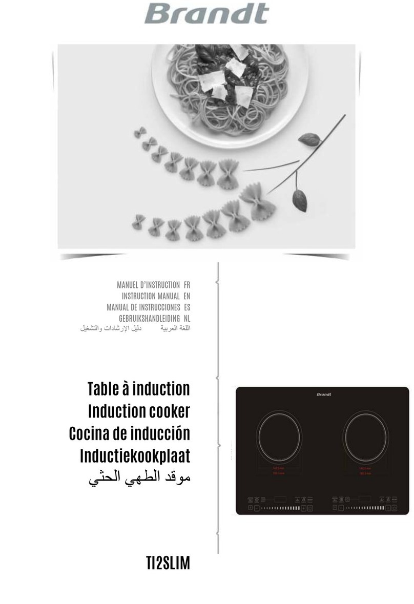 Brandt TI2SLIM instruction manual