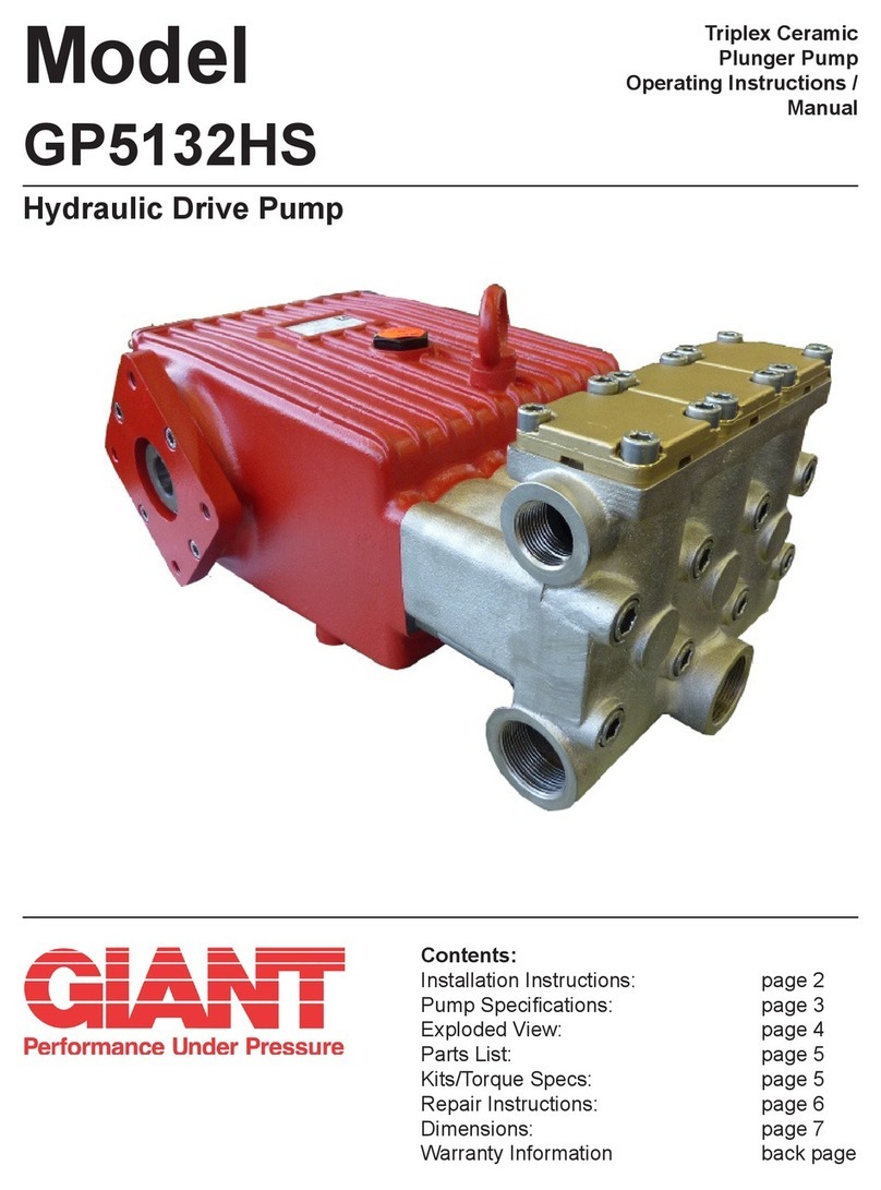 Giant GP5132HS Instruction Manual