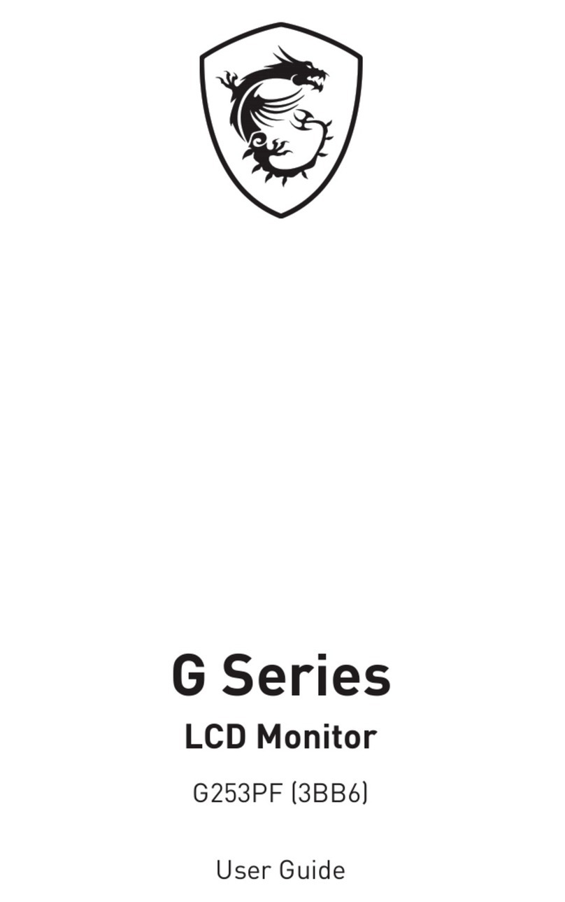 MSI G253PF (3BB6) User manual