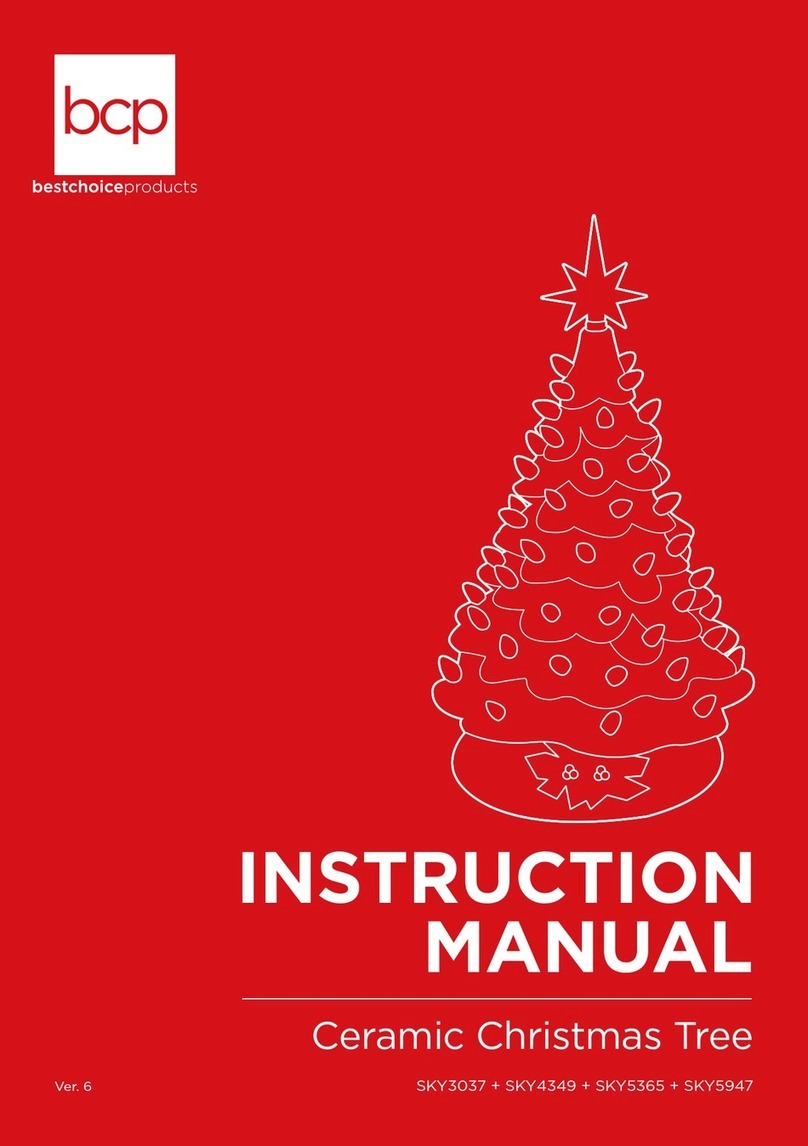 BCP SKY5365 instruction manual BCP SKY5365 instruction manual
