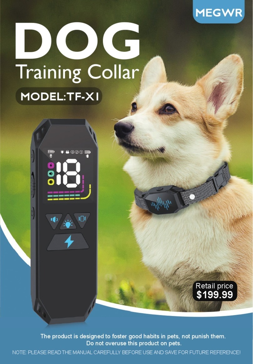 MEGWR TF-X1 manual