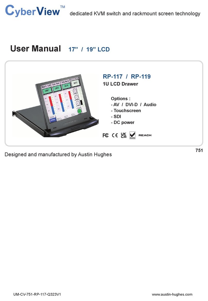 Austin Hughes CyberVierw RP-117 User manual